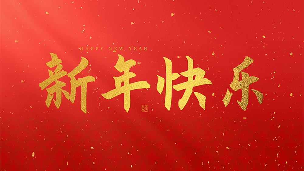 麗水市威儀自動(dòng)化技術(shù)有限公司祝全國(guó)人民2025新年快樂(lè)！